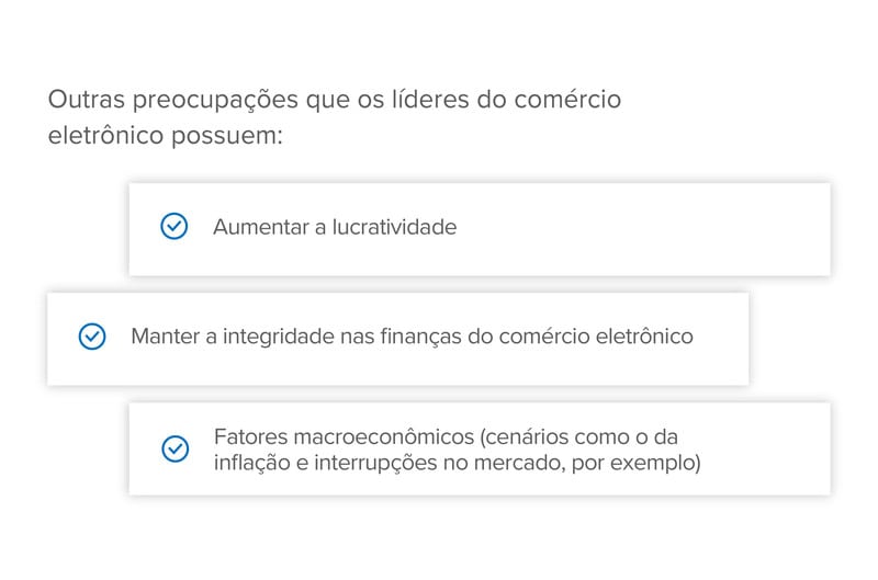 Aumentar a lucratividade está entre as preocupações dos líderes do comércio digital